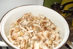 Tocanita de champignons cu piure de cartofi