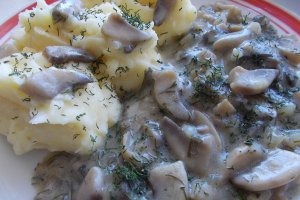 Tocanita de champignons cu piure de cartofi