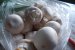 Tocanita de champignons cu piure de cartofi-1
