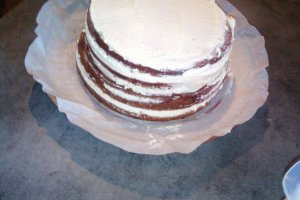 Desert tort Foret Noire