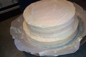Desert tort Foret Noire