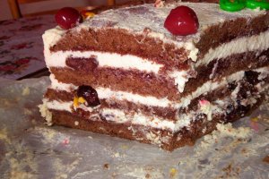 Desert tort Foret Noire