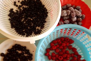 Desert dulceata de fructe de padure