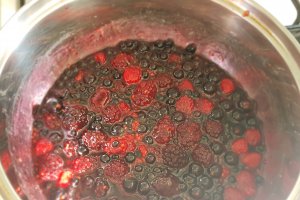 Desert dulceata de fructe de padure