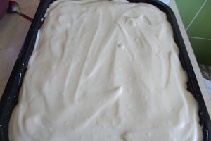 Desert prajitura gen Tiramisu