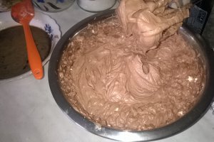 Desert tort 20 de ani