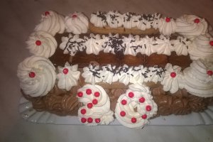 Desert tort 20 de ani