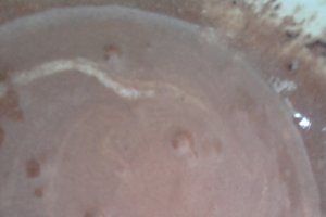 Prajitura Milch Schnitte