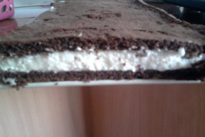 Prajitura Milch Schnitte