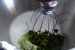 Desert crema Mojito cu ricotta-3
