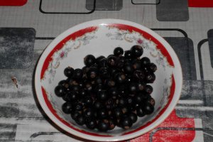 Desert inghetata de coacaze negre