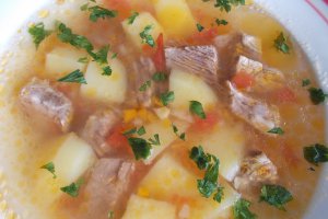 Bors cu legume si carne de vita