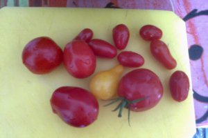Bulion din rosii cherry de diverse forme si culori... amalgam