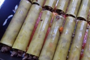 Cannelloni