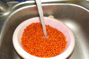 Dulceata de catina