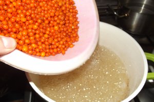 Dulceata de catina