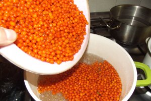Dulceata de catina