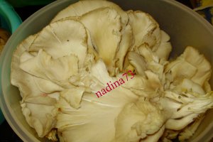 Pleurotus pane cu garnitura de orez