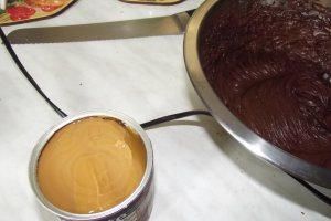 Desert tort Bianca