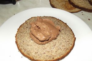 Desert tort Bianca