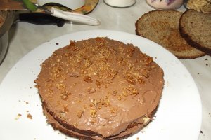 Desert tort Bianca
