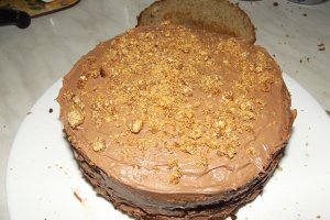 Desert tort Bianca
