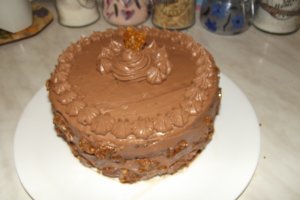 Desert tort Bianca
