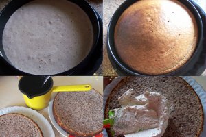 Desert tort Anca