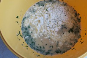 Deliciu cu ton si branza
