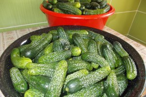 Castraveti murati in saramura