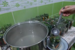 Castraveti murati in saramura