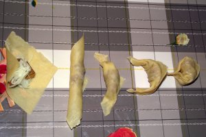Tortellini ( bicolori ) de casa, cu ciuperci si cascaval