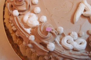 Desert tort Eufrosina