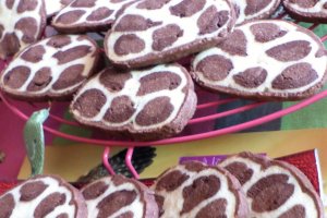 Desert biscuiti Leopard