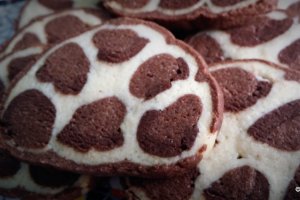 Desert biscuiti Leopard