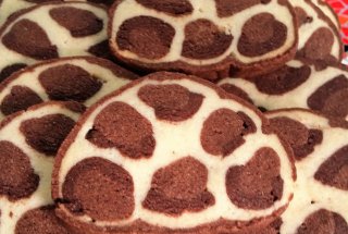 Desert biscuiti Leopard