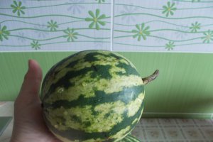 Pepeni verzi murati in saramura