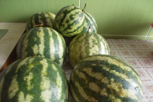 Pepeni verzi murati in saramura
