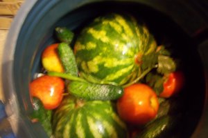 Pepeni verzi murati in saramura