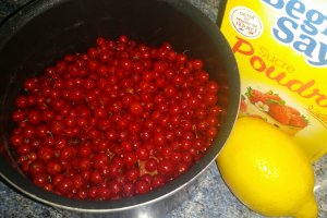 Sirop de coacaze rosii