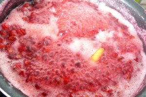 Sirop de coacaze rosii