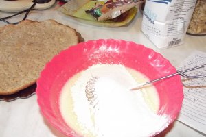 Desert tort Dana