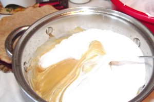 Desert tort Dana