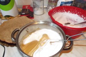 Desert tort Dana