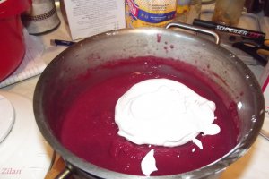 Desert tort Dana