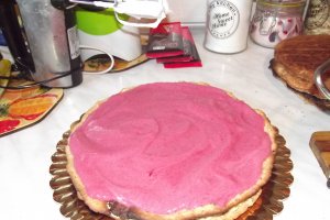 Desert tort Dana