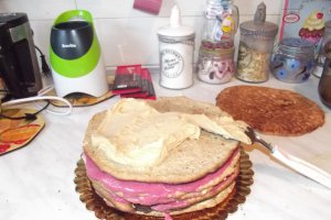 Desert tort Dana