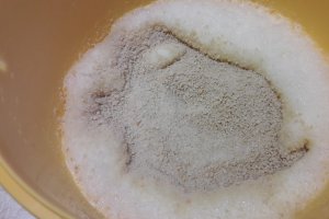 Deliciu cu pui, masline si branza