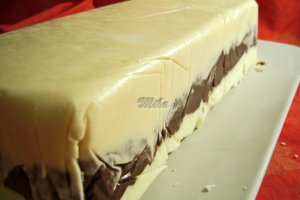 Tort tricolor de inghetata