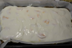 Desert prajitura cu piscoturi, iaurt si mandarine